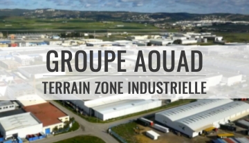 LOTISSEMENT ZONE INDUSTRIELLE (EN COURS DE VIABILISATION)